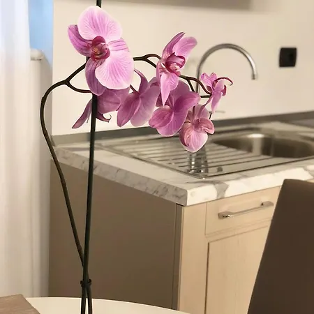 Marina Centro Ρίμινι